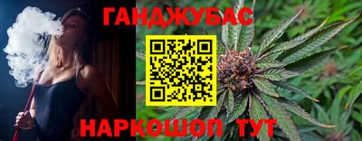 стаф Тула