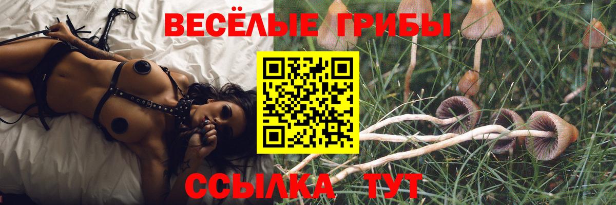 Галлюциногенные грибы Psilocybe  Вход с VPN  Мценск  Псилоцибиновые грибы MAGIC MUSHROOMS 